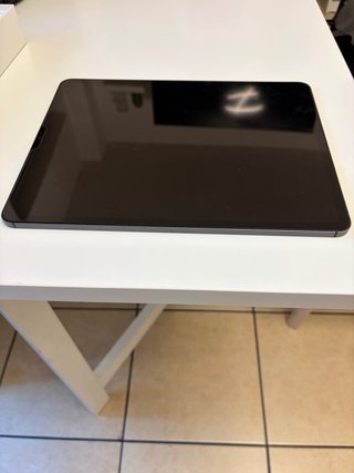 iPad Pro 12.9 512GB Wi-Fi + Cellular Grigio Sidera