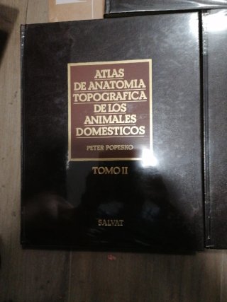 Atlas Anatomia Topografica Animales Domésticos.