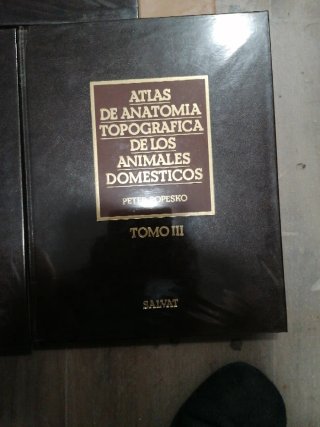 Atlas Anatomia Topografica Animales Domésticos.