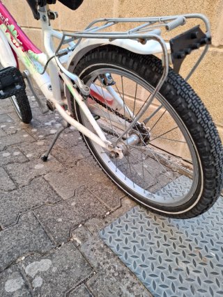 Bicicletta bambina 20 pollici.