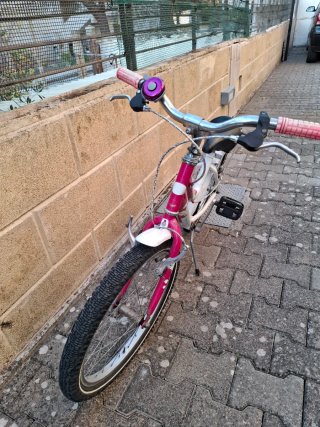 Bicicletta bambina 20 pollici.