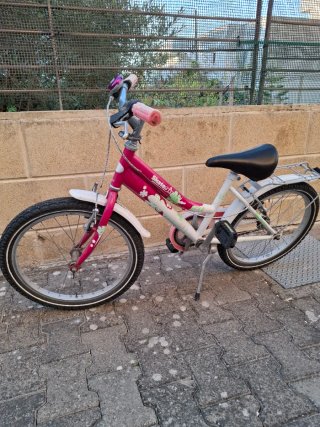 Bicicletta bambina 20 pollici.