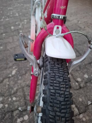 Bicicletta bambina 20 pollici.