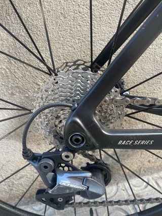 Megamo Pulse Elite
