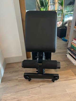 Banco de pesas PASYOU PA500 ajustable y plegable