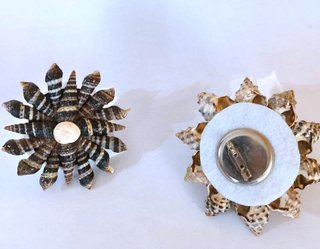 Broches artesanales conchas marinas