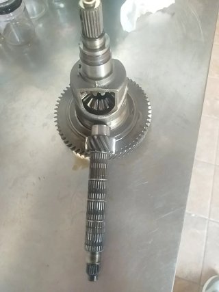 Grupo corto Renault 14 63