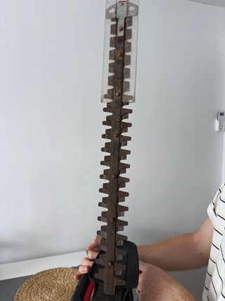 Cortasetos Eléctrico Sterwins