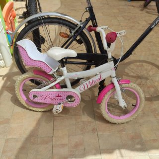 Bicicleta Niña Princess Rosa y Blanco