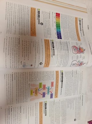 Física y Química 2 ESO LOMLOE