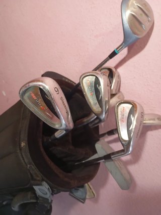 Bolsa de golf Titleist con palos