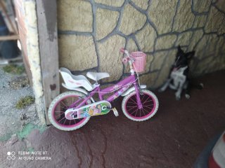 Bicicleta infantil niña rosa