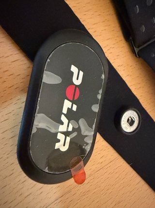 Sensor Polar H10