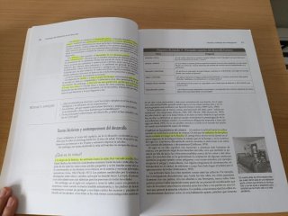 Psicología del desarrollo en el ciclo vital UPO