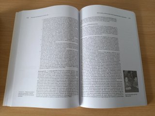 Psicología del desarrollo en el ciclo vital UPO
