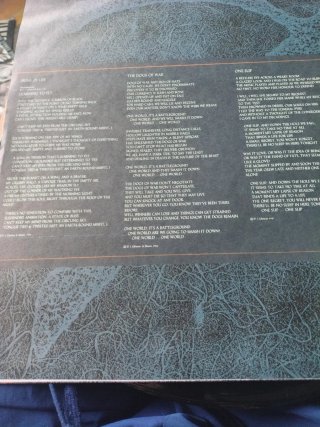 LP Pink Floyd - A Momentary Lapse of Reason