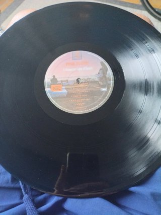 LP Pink Floyd - A Momentary Lapse of Reason