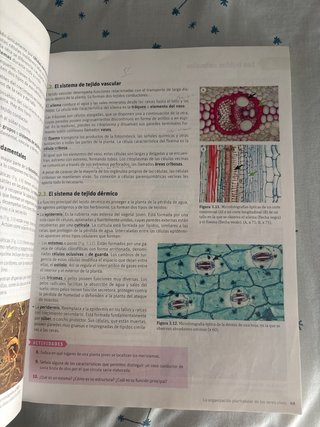 Biología y geología 1bachillerato Savia
