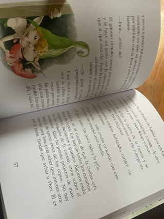 Nur y el gnomo irlandés