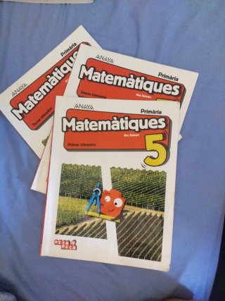 Matemàtiques, 5 Primària