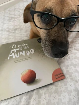El mejor juguete del mundo
