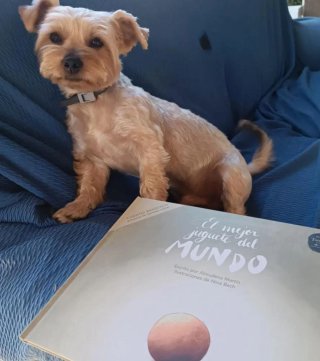 El mejor juguete del mundo