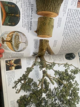El árbol