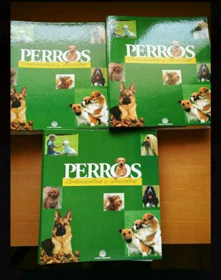 800 Fichas PERROS, 3 archivadores