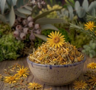 Plantas aromáticas y medicinales secas