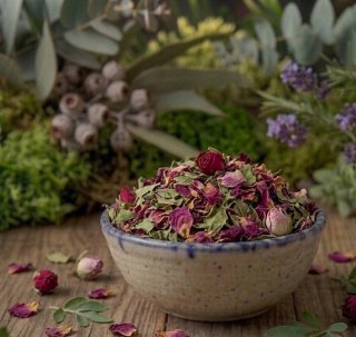 Plantas aromáticas y medicinales secas
