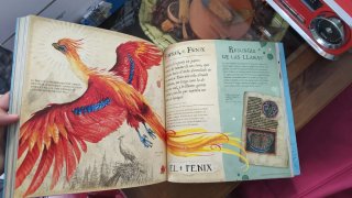 Harry Potter: Un viaje por la historia de la ma...