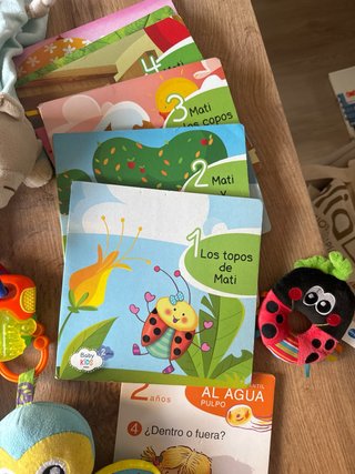 Lote Juguetes libros Bebé y Niño