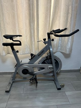 Bicicleta de Spinning Gris