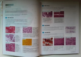 Biología y Geología 3, ESO, Fanfest Edelvives