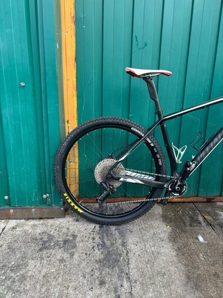 Specialized Stumpjumper Carbon 29 GX 1x12
