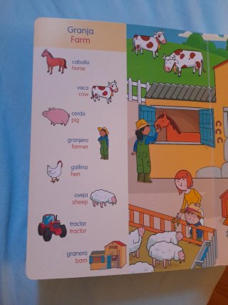 Mis Primeras Palabras/My First Words