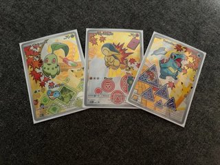 Trío Cartas Pokémon Johto Español