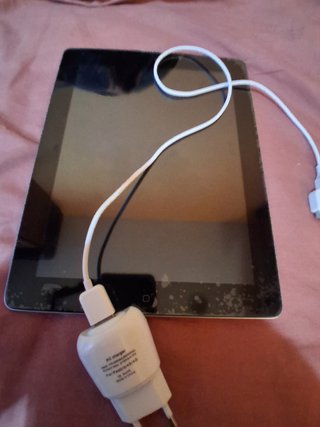 iPod Apple  con Cargador