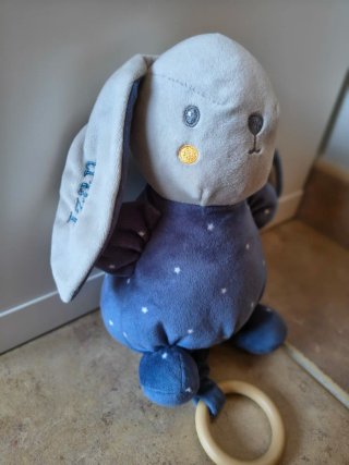 Peluche musical conejo  con nombre Izan