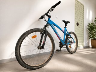 Bicicleta de montaña