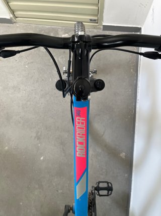Bicicleta de montaña