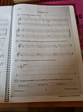 DICTADOS MUSICALES 1º ENSEÑANZA PROFESIONAL: CU...