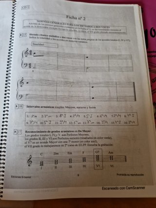 DICTADOS MUSICALES 1º ENSEÑANZA PROFESIONAL: CU...