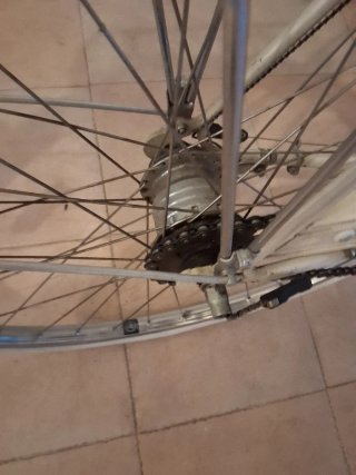 Bicicleta Hercules Alassio