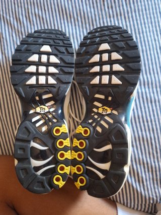 Zapatillas Nike Air Max Plus TN