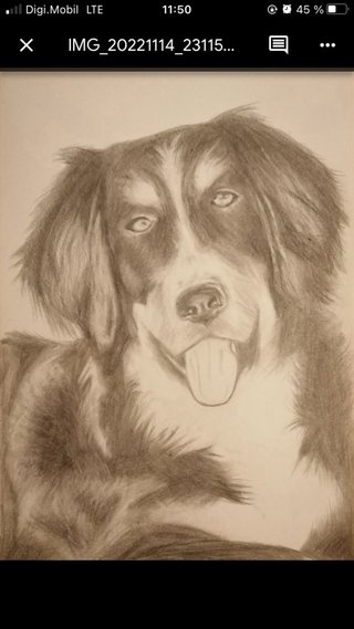 Dibujos a lapiz realistas