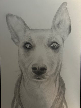Dibujos a lapiz realistas