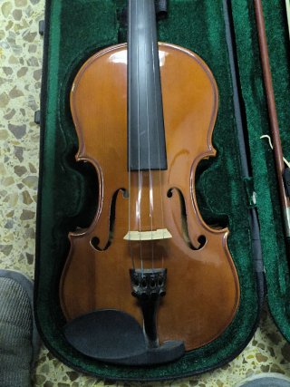 Violín con funda y arco