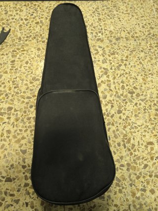 Violín con funda y arco