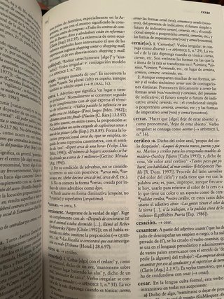 Diccionario panhispánico de dudas